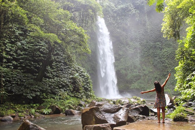 Private Full-Day West Bali Tour with Waterfall Visit - Handara Iconic Gate: classic photo framing, timed like a pro