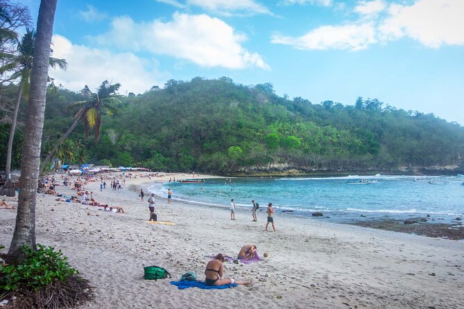 Private Full-Day West Tour Nusa Penida All Inclusive from Bali - Stop-by-stop: what each West Penida highlight is really like