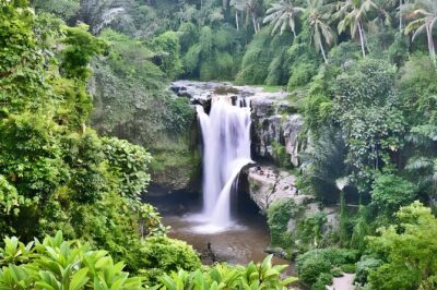 Private Half Day-Tour: Ubud Art Village Trip - Pickup From Seminyak and the Other Quick-Access Zones