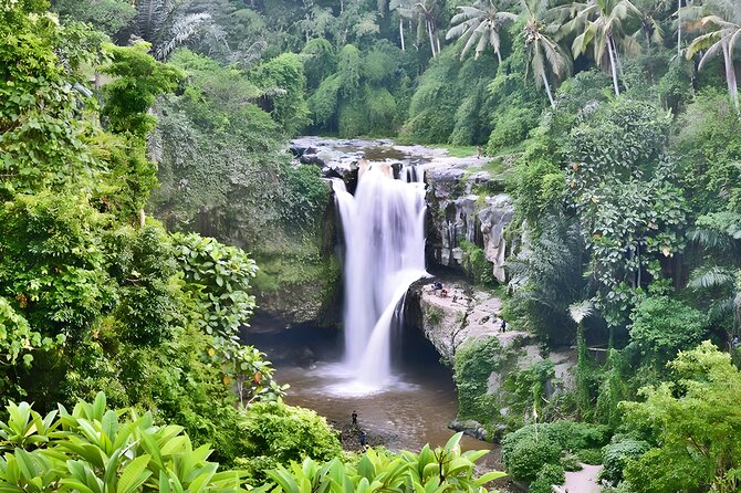 Private Half Day-Tour: Ubud Art Village Trip - Pickup From Seminyak and the Other Quick-Access Zones