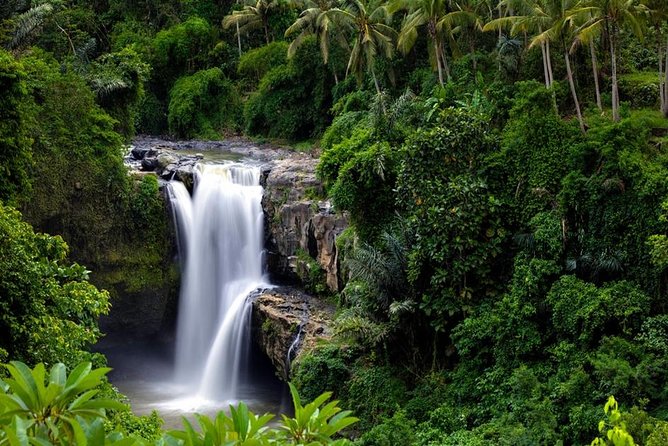 Private Inclusive Tours: 2 Days highlight of Bali - How the Private Guide Improves Your Actual Day