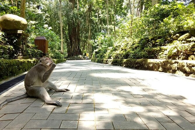 Private Inclusive Tours: 2 Days highlight of Bali - Who This Tour Is Best For