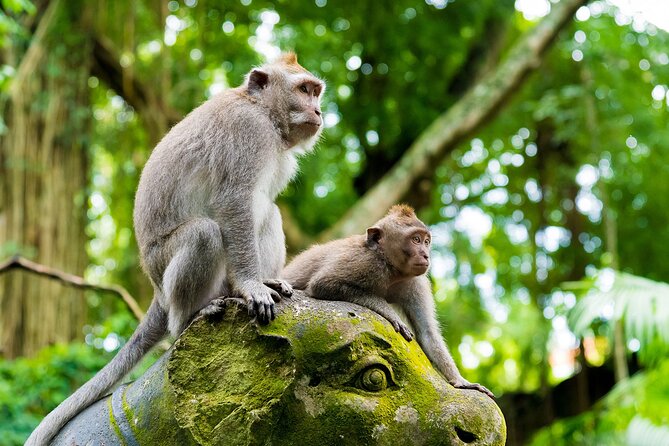 Private Inclusive Tours: 2 Days highlight of Bali - Day 1 in Ubud: Batuan Temple, Tegenungan Falls, and Tegalalang Rice Terraces