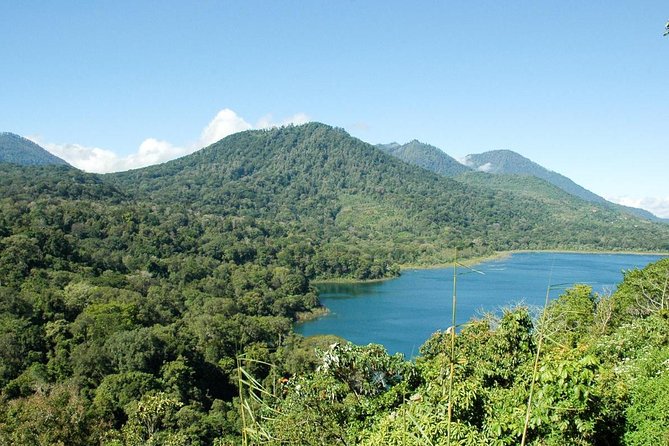 Private Jatiluwih Rice Terraces Heritage Site and Culture Tour - Ulun Danu Beratan Temple at Bedugul Lake: calm views and a quick sacred stop