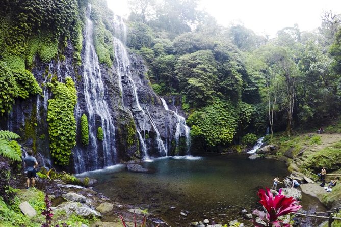Private Jatiluwih Rice Terraces Heritage Site and Culture Tour - Banyumala Twin Waterfalls: the natural-trail walk that keeps it feeling real