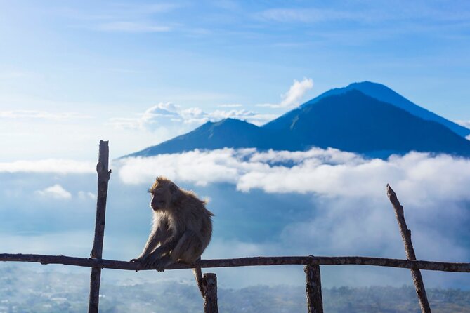 Private Mount Batur Sunrise Trekking Tour - Price and value at $39: what you’re really paying for