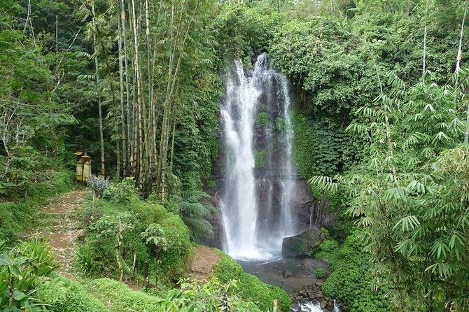 Private Munduk Waterfalls Trekking Tour - Northern Bali’s cooler pace: why Munduk feels worth the trip