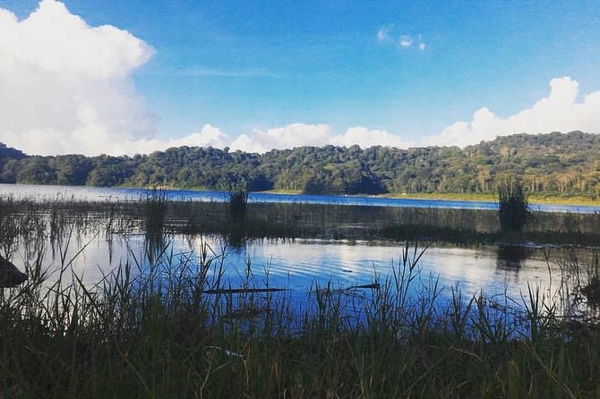 Private Munduk Waterfalls Trekking Tour - Munduk Waterfalls trek: what 3 hours on the trail actually feels like