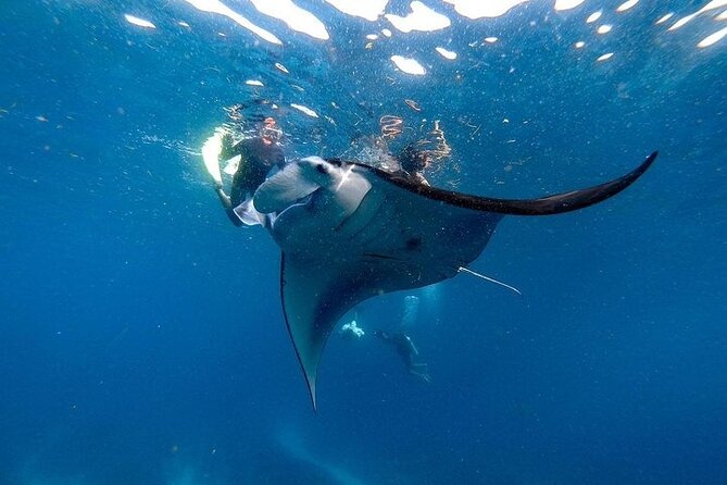 PRIVATE Nusa Penida on Boat Snorkeling & Island Tour (INCLUSIVE) - Key things to know before you go