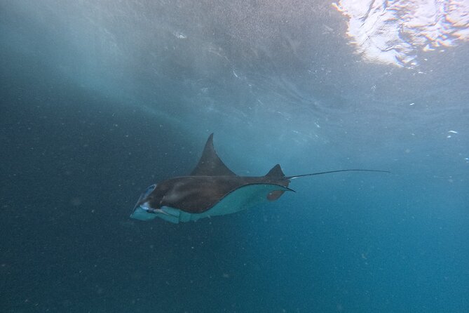 PRIVATE Nusa Penida on Boat Snorkeling & Island Tour (INCLUSIVE) - Photos and small comfort wins that matter