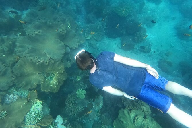 Private Nusa Penida Snorkeling Tour - Manta Bay, Crystal Bay, and the rest: what to expect underwater
