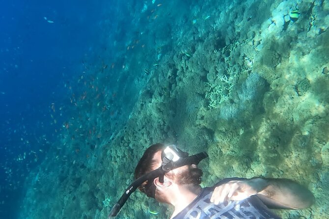 Private Nusa Penida Snorkeling Tour - The rest of your day: returning to Bali without the headache
