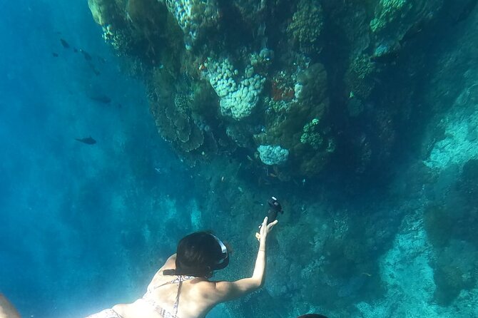 Private Nusa Penida Snorkeling Tour - Price and value: is $157.84 per person worth it?
