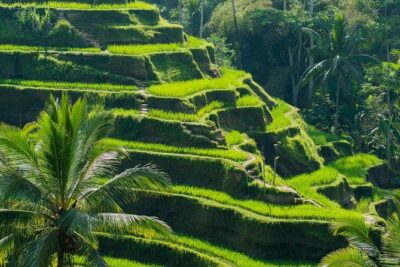 Private Shore Excursion: Customized Best of Bali Tour - How the custom itinerary works with your driver-guide