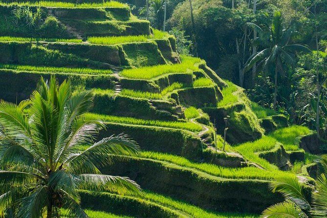 Private Shore Excursion: Customized Best of Bali Tour - How the custom itinerary works with your driver-guide