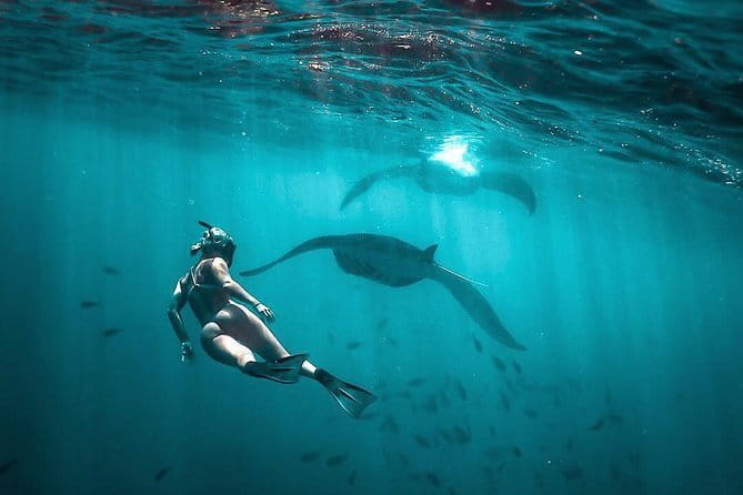 Private Sightseeing Northern East Bali All inclusive - Virgin Beach White Sand Between Cliffs: Swim and Sun Time