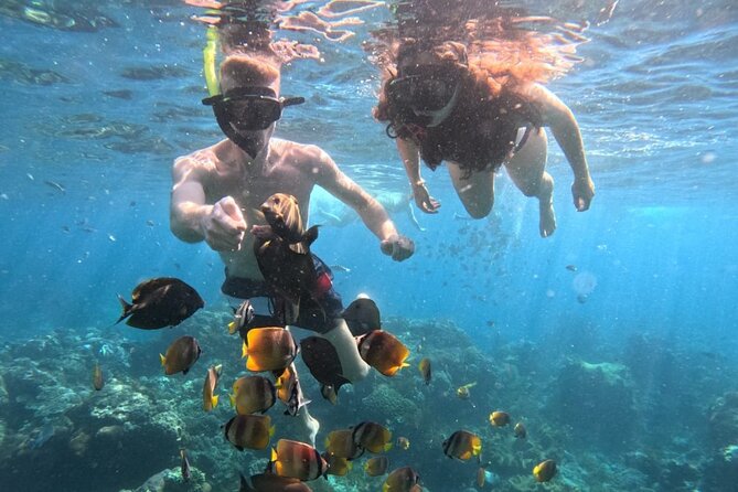Private Snorkeling from Nusa Penida - The snorkeling route: Manta Bay, Gamat Bay, Crystal Bay, Wall Point