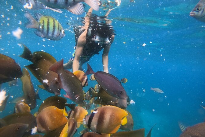 Private Snorkeling in Manta Bay, Gamat Bay & Wall at Nusa Penida - Getting set up: gear, life jacket, and what the instructor changes