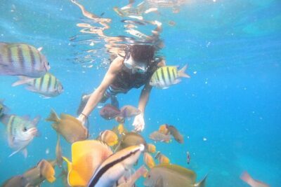 Private Snorkeling in Manta Bay, Gamat Bay & Wall at Nusa Penida - Manta Bay: the best reason to try, and the honest limits