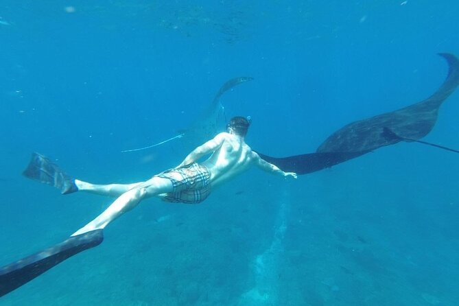 Private Snorkeling in Manta Bay, Gamat Bay & Wall at Nusa Penida - Lunch at the harbor: a real meal after a short water session