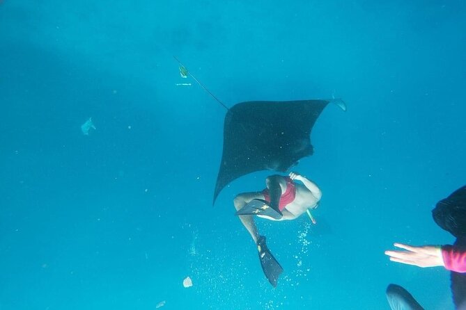 Private Snorkeling in Manta Bay, Gamat Bay & Wall at Nusa Penida - Who this tour fits best (and who should think twice)