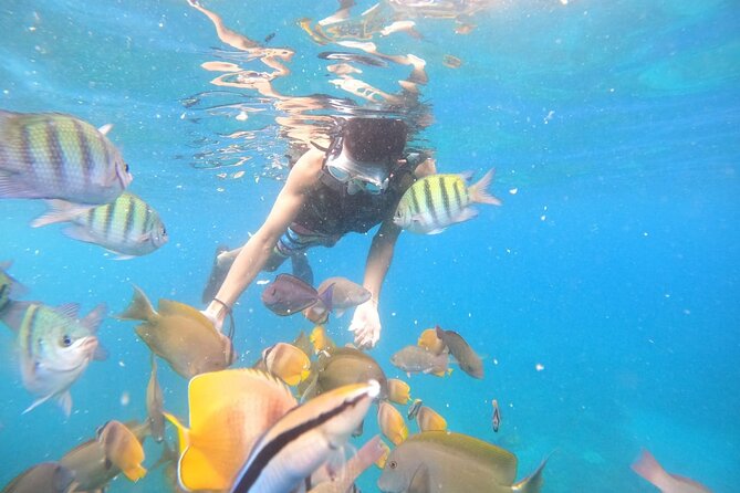 Private Snorkeling in Manta Bay, Gamat Bay & Wall at Nusa Penida - Manta Bay: the best reason to try, and the honest limits
