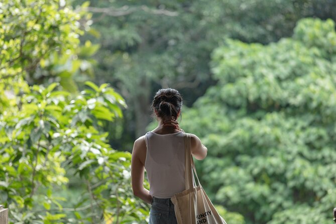 Private Tour : Bali Best Waterfalls, Temples and Monkey Forest - Elephant Cave Temple: why the name can fool you