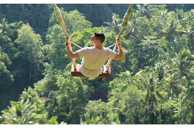 Private Tour Bali Swing & Visiting Temples in Bali - Hideaway Swing Bali: 15m vs 20m, and Why Ayung River Views Add Energy