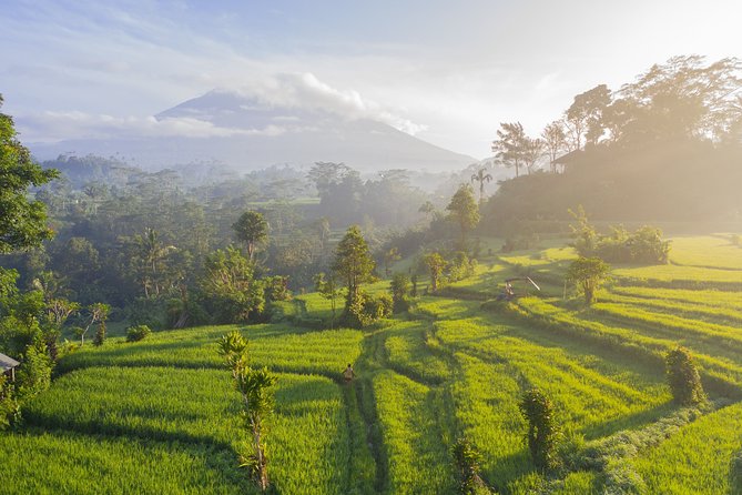 Private Tour: Bali Temple and Countryside Tour - Ulun Danu Bratan Temple: Lake Views and the Water-Temple Connection
