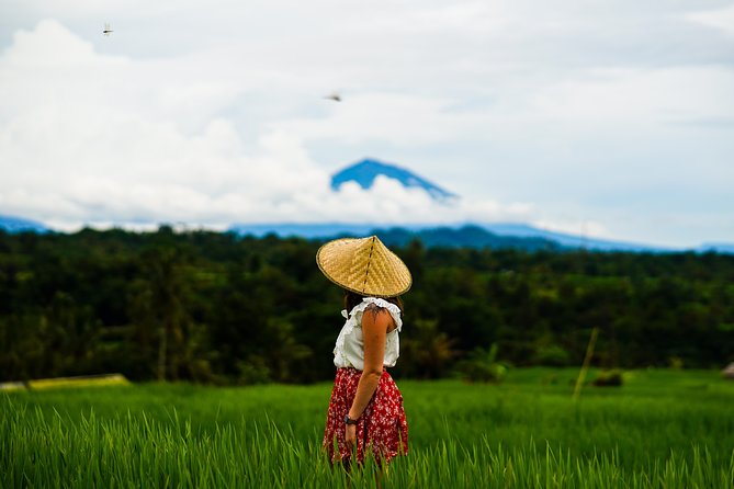 Private Tour: Bali Temple and Countryside Tour - Price and Value Check: Is $65 Fair for This Full-Day Route?
