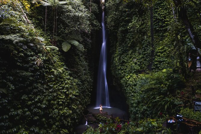 Private Tour: Bali Temples, Hidden Waterfall and Handara Gate - Leke Leke Waterfall: The Walk Is the Point