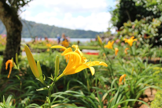 Private Tour: Bali Temples, Hidden Waterfall and Handara Gate - Bedugul Break: A Real Chance to Reset