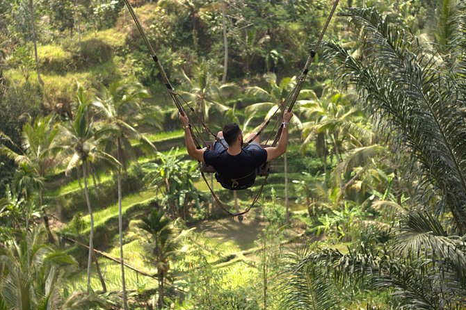 Private Tour: Bali Volcano with Jungle Swing Experience - Tegenungan Waterfall: A Fresh-Water Finish With Real Power