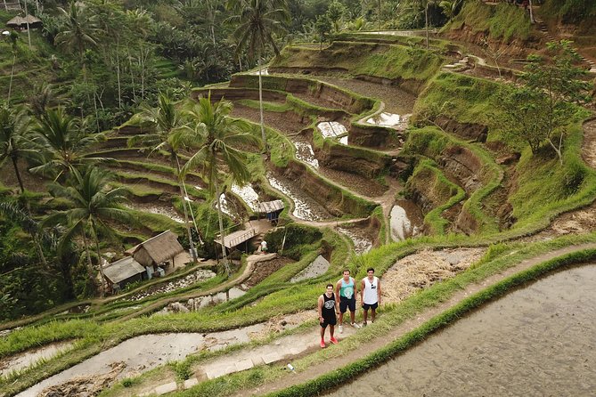 Private Tour: Bali Volcano with Jungle Swing Experience - Price and Value: What $55 Gets You (and What It Doesn’t)
