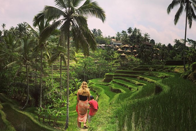 Private Tour: Balinese Culture and Scenery (visit ubud area) - Ubud Culture + Scenery: A full day, thoughtfully paced
