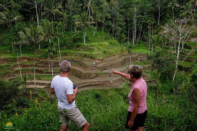 Private Tour: Balinese Culture and Scenery (visit ubud area) - Transport, timing, and group size: how “private” feels here