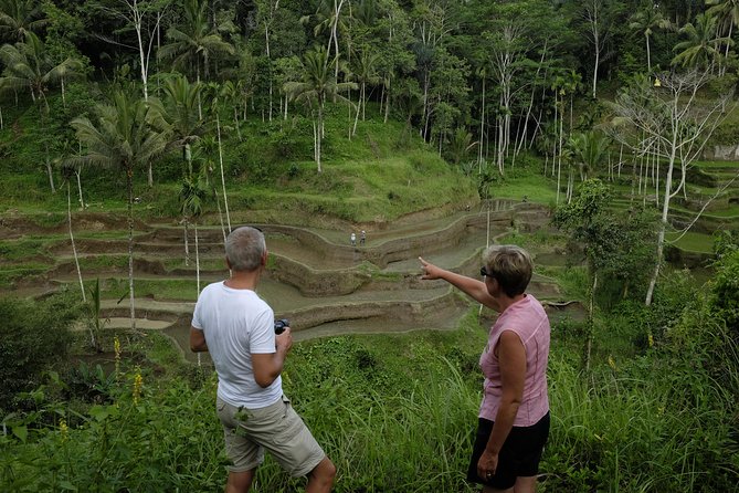 Private Tour: Balinese Culture and Scenery (visit ubud area) - Price and value: what you get for $65