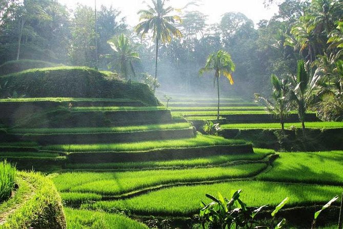 Private Tour: Batuan Temple, Tegenungan Waterfall, Elepahant Cave Free transport - Ubud Palace and the traditional art market: culture that’s close to real life