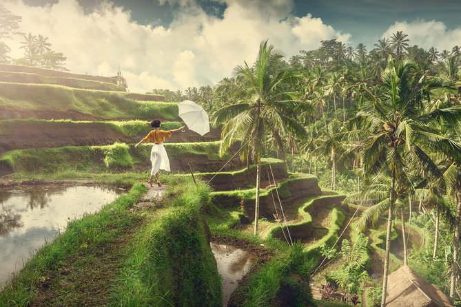 Private Tour: Best of Bali - All Inclusive Tickets - Private comfort plus what’s actually included