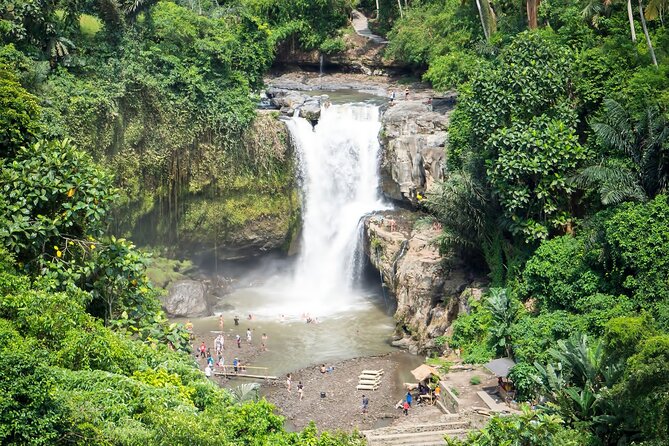 Private Tour: Best of Bali - All Inclusive Tickets - Tegalalang Rice Terraces: the Instagram-famous stop, minus the chaos