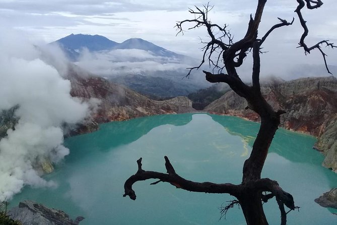 Private Tour : Bromo Ijen Tour From Bali - Key highlights at a glance
