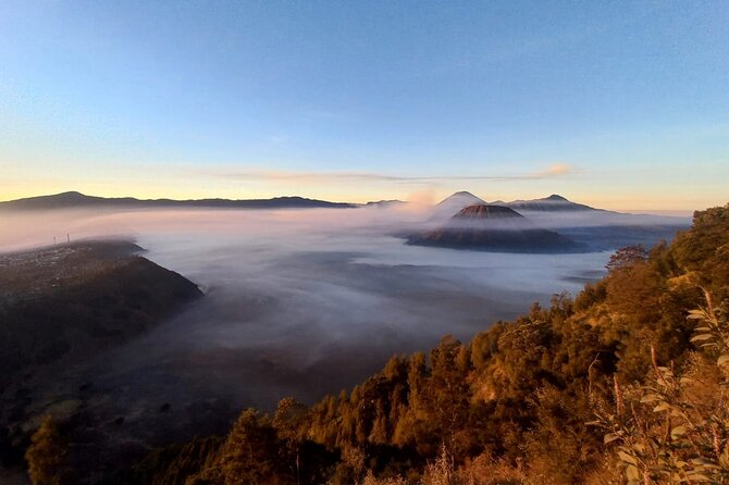 Private Tour : Bromo Ijen Tour From Bali - Timing tips: how to maximize your chances of seeing blue flames and sunrise