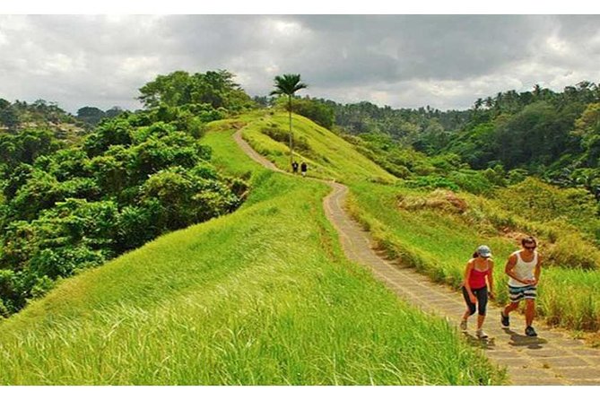 Private Tour: Campuhan Ridge Walk, Ubud Rice Terrace & Ubud Palace - Key Things You Should Know Before You Go