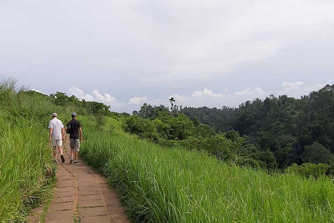 Private Tour: Campuhan Ridge Walk, Ubud Rice Terrace & Ubud Palace - How This Private Ubud Day Feels From the Start