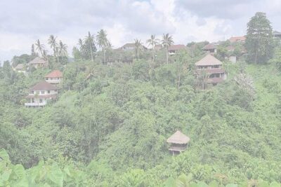 Private Tour: Campuhan Ridge Walk, Ubud Rice Terrace & Ubud Palace - Campuhan Ridge Walk (Bukit Cinta): the Calm Part of Ubud
