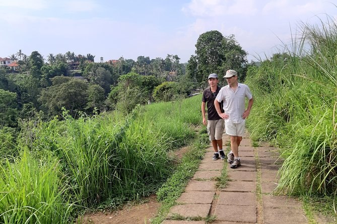 Private Tour: Campuhan Ridge Walk, Ubud Rice Terrace & Ubud Palace - Ubud Palace: Arts, Dance, and the Ornate Gate Details