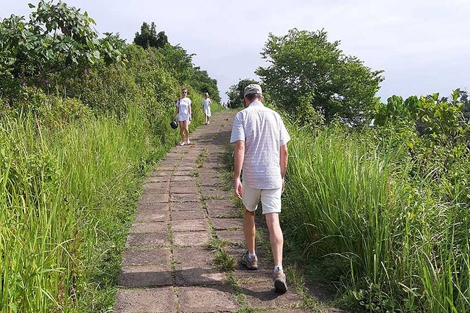 Private Tour: Campuhan Ridge Walk, Ubud Rice Terrace & Ubud Palace - Price and Logistics: is $25 a smart deal?