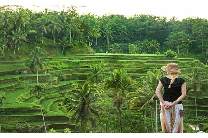 Private Tour: Campuhan Ridge Walk, Ubud Rice Terrace & Ubud Palace - Who This Tour Suits Best (and who might want a different plan)