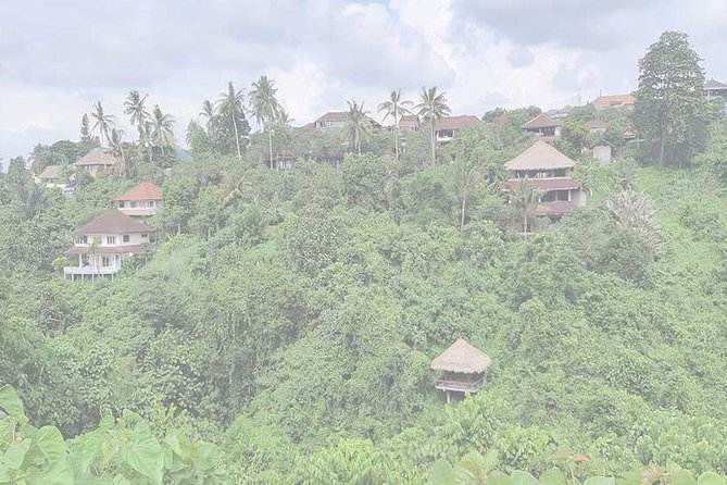 Private Tour: Campuhan Ridge Walk, Ubud Rice Terrace & Ubud Palace - Campuhan Ridge Walk (Bukit Cinta): the Calm Part of Ubud