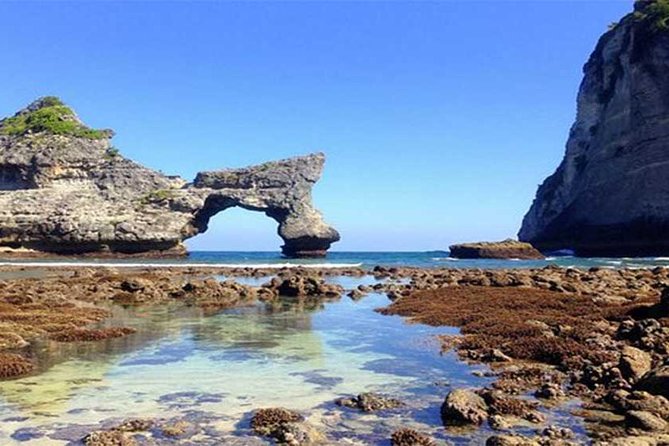 Private tour : East of Nusa Penida Day Tour All-inclusive - Molenteng Hill View Area and the Tree House: Where the Climbing Pays Off